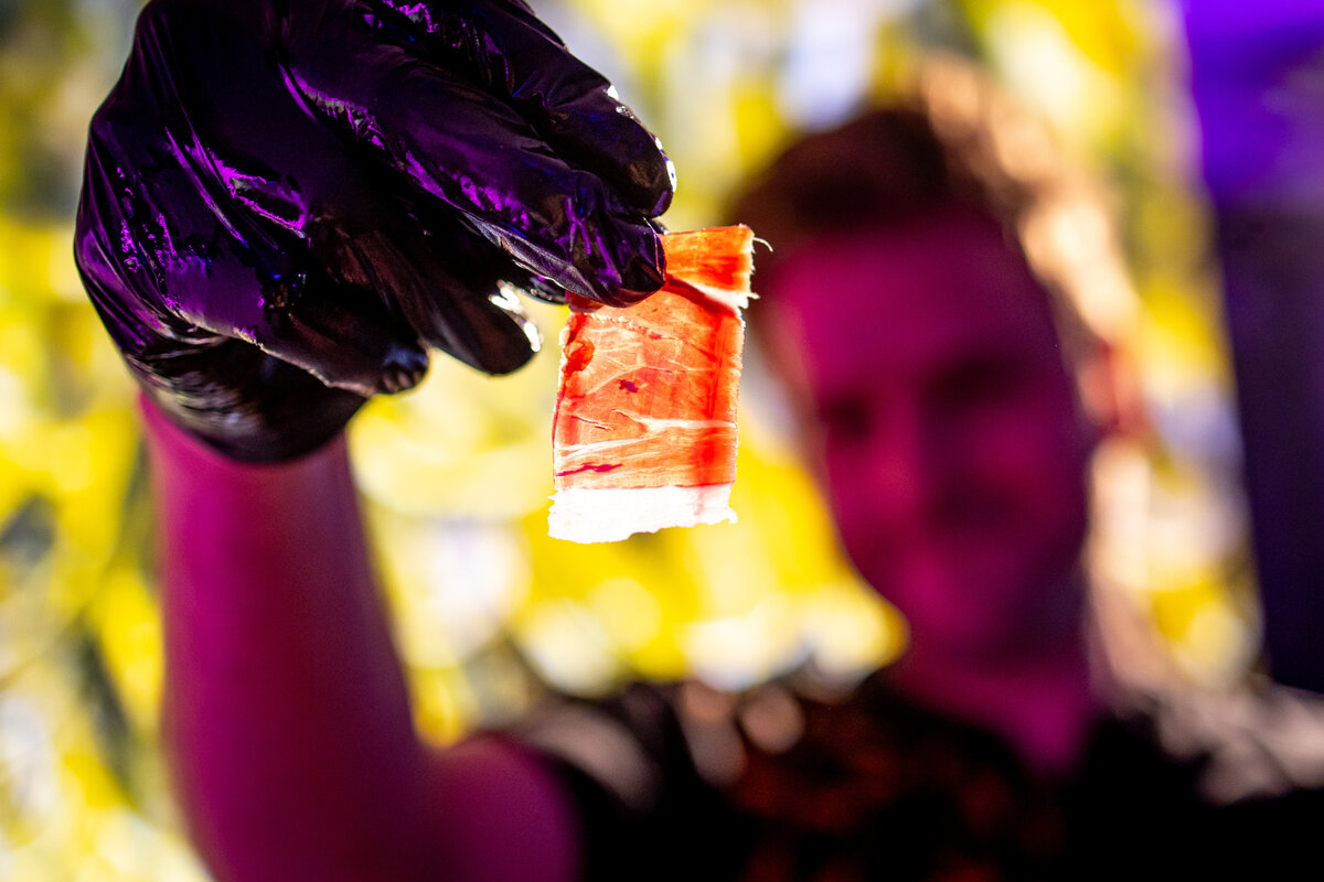 Martin Škoda - Český cortador